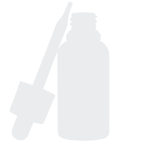 Mobile Path audit pillar